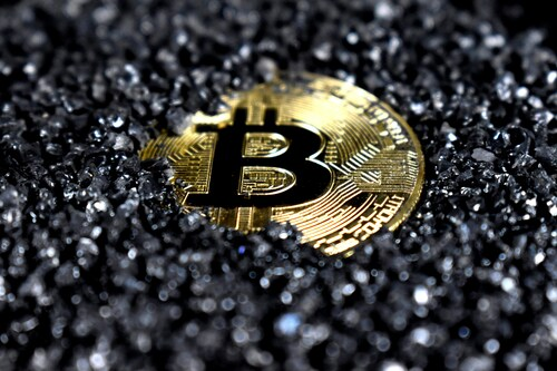 FeedCryptoBuzz