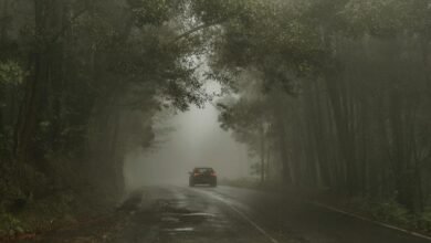 affordable spanish road adventures