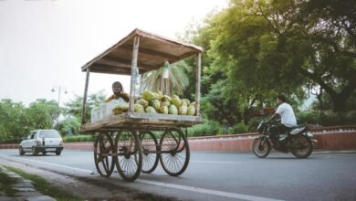 delhi s must try street food