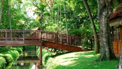 kerala ayurvedic retreats experience