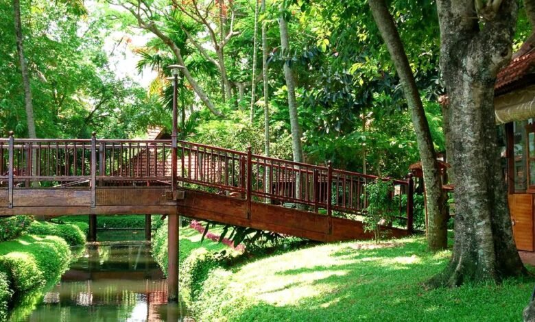 kerala ayurvedic retreats experience