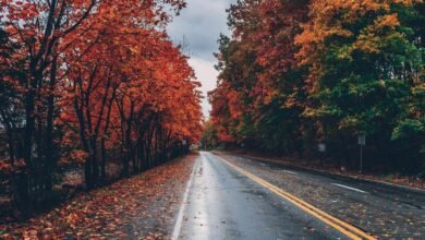nature lovers pennsylvania guide