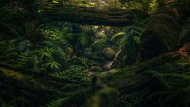 top trails in bc