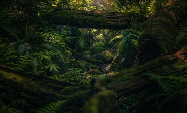 top trails in bc